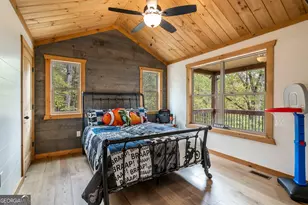 241 Wolf Creek Mountain Rd, Mineral Bluff, GA 30559 - Photo 26