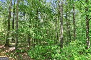 107 Trisha Ln, Grantville, GA 30220 - Photo 50