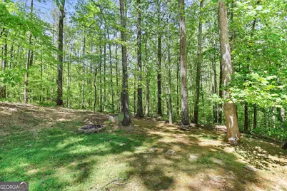 107 Trisha Lane, Grantville, GA 30220 - Photo 44
