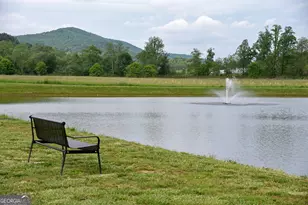 435 Golden Nugget Rd, Blairsville, GA 30512 - Photo 58