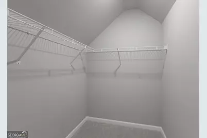 30 Perkins Cove, Senoia, GA 30276 - Photo 54