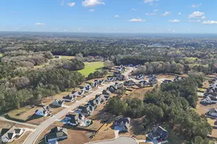 30 Perkins Cv, Senoia, GA 30276 - Photo 74