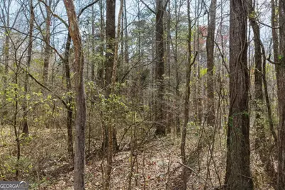 1156 Garmon Road, Hiram, GA 30141 - Photo 8