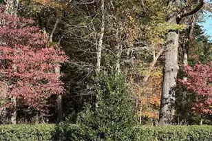 222 Deerhill Dr, Bogart, GA 30622 - Photo 64