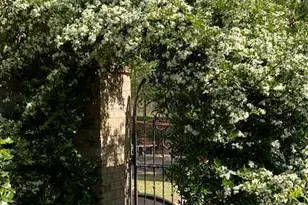 222 Deerhill Dr, Bogart, GA 30622 - Photo 66