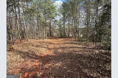 0 Lowery Rd (3.94 Ac), Grantville, GA 30220 - Photo 6