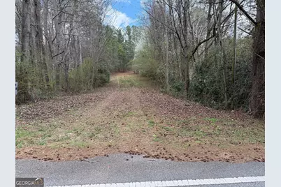 0 Lowery Rd (3.94 Ac), Grantville, GA 30220 - Photo 2
