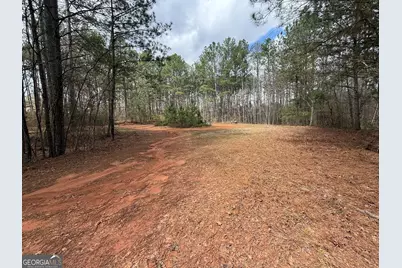 0 Lowery Rd (3.94 Ac), Grantville, GA 30220 - Photo 8