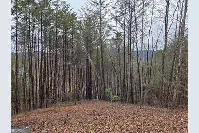 Lot 101 Eagles View Crescent, Hayesville, NC 28904 - Photo 2