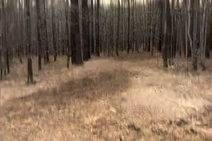 166 Lake Crest Dr, Sparta, GA 31087 - Photo 1