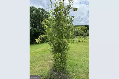 2838 Skitts Mountain Road, Cleveland, GA 30528 - Photo 26