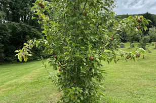 2838 Skitts Mountain Rd, Cleveland, GA 30528 - Photo 26