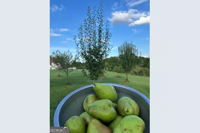 2838 Skitts Mountain Road, Cleveland, GA 30528 - Photo 34