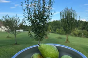 2838 Skitts Mountain Rd, Cleveland, GA 30528 - Photo 34