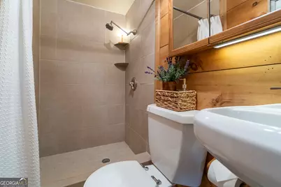 239 Pebble Lane, Cleveland, GA 30528 - Photo 30