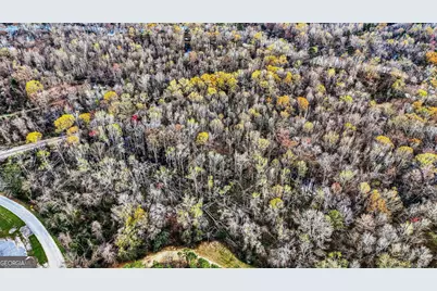 32 Brannen Landing Road, Midville, GA 30441 - Photo 8