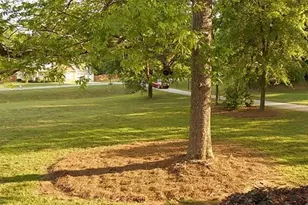 253 River Rd, McDonough, GA 30252 - Photo 6