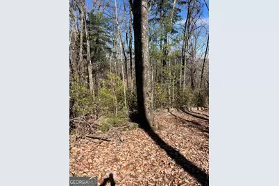 0 Eastman Mtn Road, Tiger, GA 30576 - Photo 2