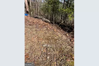 0 Eastman Mtn Road, Tiger, GA 30576 - Photo 4