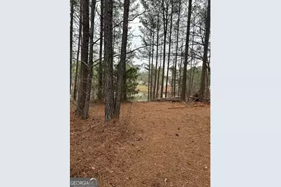 55 Rock Mill Court, Senoia, GA 30276 - Photo 36