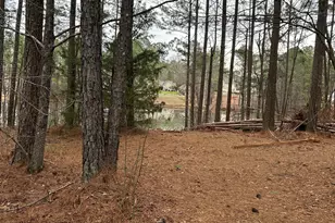 55 Rock Mill Ct, Senoia, GA 30276 - Photo 36