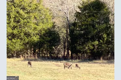 0 Brookshire Road, Ranger, GA 30734 - Photo 6