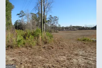 391 Hog Liver Road, Carrollton, GA 30117 - Photo 6