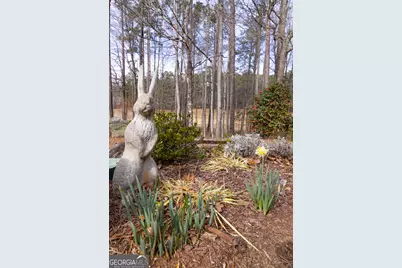 345 Tillinghast Trace, Newnan, GA 30265 - Photo 74
