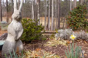 345 Tillinghast Trace, Newnan, GA 30265 - Photo 74
