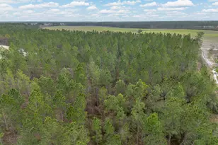 2110 Post Rd, Hazlehurst, GA 31539 - Photo 6