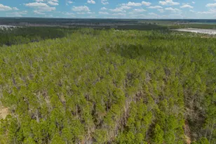 2110 Post Rd, Hazlehurst, GA 31539 - Photo 14