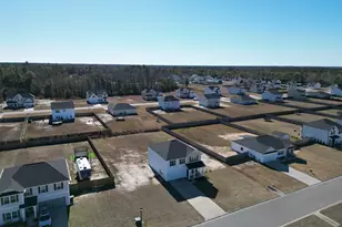 182 Whipporwill Way NE, Ludowici, GA 31316 - Photo 48
