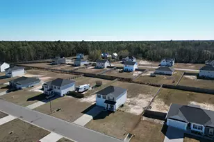 182 Whipporwill Way NE, Ludowici, GA 31316 - Photo 46