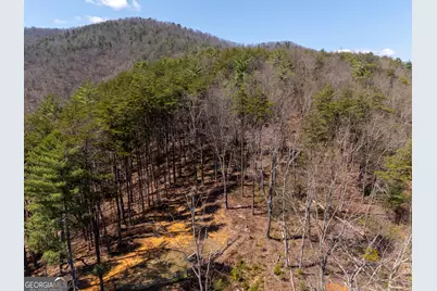 0 Bellflower Place, Helen, GA 30545 - Photo 2