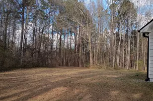 218 Pope Hill Cir, Senoia, GA 30276 - Photo 20