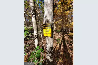 205 Briarwood Lane, Clayton, GA 30525 - Photo 48