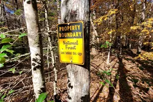 205 Briarwood Ln, Clayton, GA 30525 - Photo 48