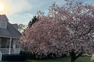 2458 Post Rd, Cleveland, GA 30528 - Photo 1