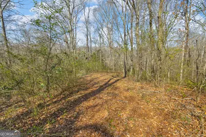 5354 Highway 29, Royston, GA 30662 - Photo 40