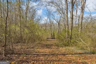 5354 Highway 29, Royston, GA 30662 - Photo 42