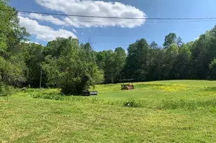 22 Old Bullen Gap Rd, Blue Ridge, GA 30513 - Photo 1