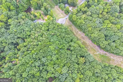 349 Turner Ridge Drive, Cleveland, GA 30528 - Photo 8