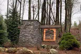 0 Lake Top Ln, Ellijay, GA 30536 - Photo 1