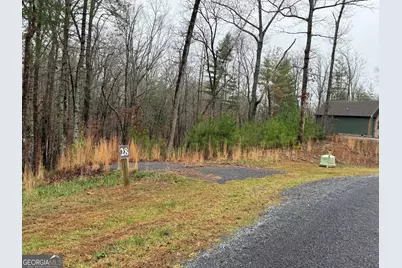 0 Lake Top Ln, Ellijay, GA 30536 - Photo 4