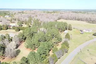 1697 Middleton Church Rd, Elberton, GA 30635 - Photo 48