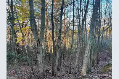 0 Daybreak Road, Cleveland, GA 30528 - Photo 4