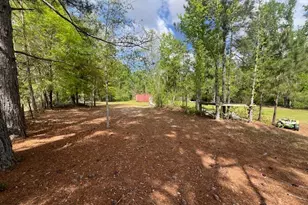 742 Halls Bridge Rd, Swainsboro, GA 30401 - Photo 22