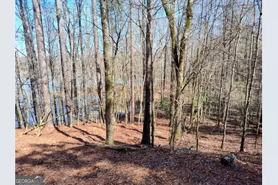 1302 River Road, Elberton, GA 30635 - Photo 6