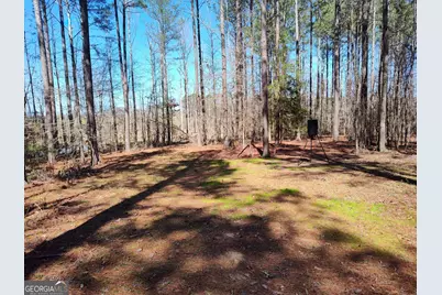 1302 River Road, Elberton, GA 30635 - Photo 4