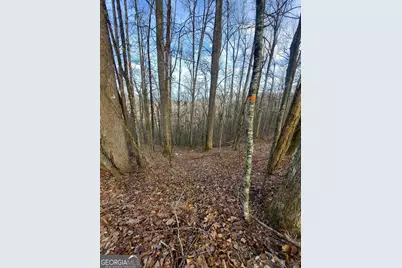 0 Lots 9 &amp; 9A Wild Bird, Sky Valley, GA 30537 - Photo 6